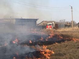 В Кузбассе запретили разжигать костры и жарить шашлыки