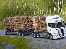 Вывоз леса из Кузбасса вырос  на 20 процентов